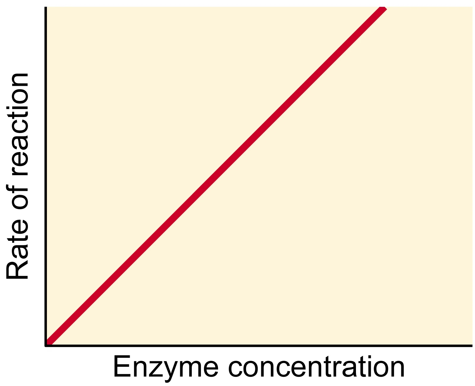 Enzyme concentration graph